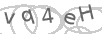 Please enter the code shown
