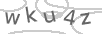 Please enter the code shown